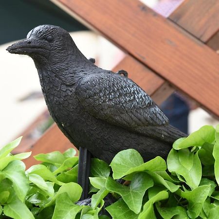 Ferienappartement Balik Bad Staffelstein Buitenkant foto